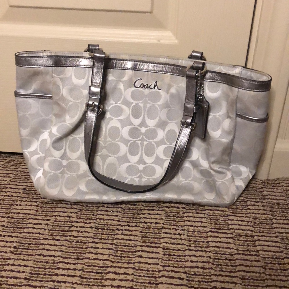 Grey/silver